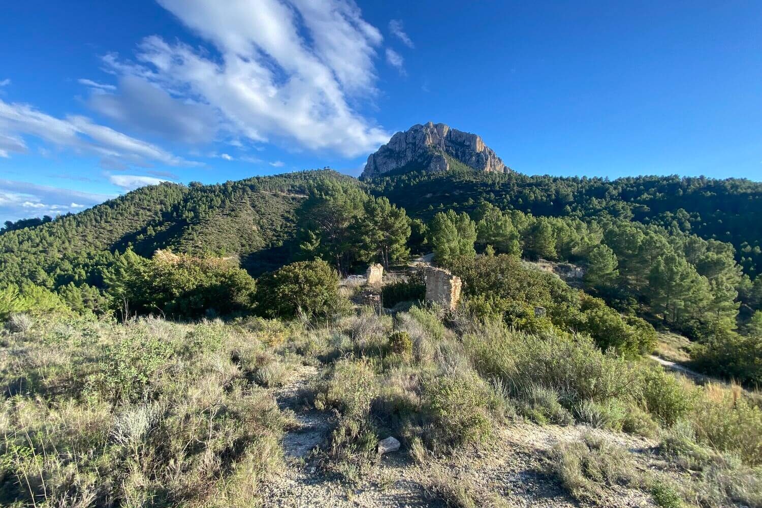 Berg